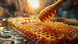 Fresh liquid honey dripping on the wax cells from wooden spoon. honeycomb, the concept of fresh bee honey is good for health.