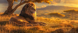Fototapeta  - Leão deitado na grama à luz do pôr do sol. Renderização 3D