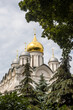 Cathedral of the Archangel Michael behind green trees. Summer in Moscow Kremlin garden.