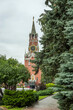Spasskaya Tower of the Moscow Kremlin behind spruce trees. Summer landscape in Moscow Kremlin garden.