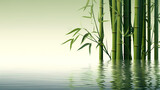 Fototapeta Sypialnia - Green bamboo forest background, green bamboo swaying in the wind