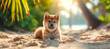 Cute Akita dog on the tropical background, relax and holiday concept, dog on vacation