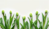 Fototapeta Tulipany - Minimalist Tulip Arrangement with White Copy Space Generative AI
