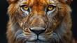 © Neural Pixels - A close view of a lions face showing its orange eyes and features