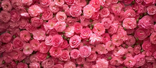 Wall Mural - A collection of small pink roses clustered closely together, creating a stunning display visible from a top-down perspective.