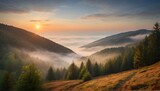 Fototapeta Natura - colored sunrise in forested mountain slope with fog. misty carpathian landscape