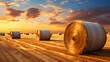Large rolls of hay in field after harvest, rural landscape with rolls of hay in mature wheat field