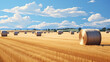 Large rolls of hay in field after harvest, rural landscape with rolls of hay in mature wheat field