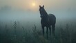 horse in fog, Horse, Equine, Mane, Tail, Gallop, Trot, Canter, Hooves, Bridle, Saddle, Rider, Equestrian, Stallion, Mare, Foal, Mustang, Paddock, Pasture, Grazing, Neigh, Whinny, Horseback riding