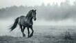 running horse, Horse, Equine, Mane, Tail, Gallop, Trot, Canter, Hooves, Bridle, Saddle, Rider, Equestrian, Stallion, Mare, Foal, Mustang, Paddock, Pasture, Grazing, Neigh, Whinny, Horseback riding