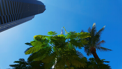 Wall Mural - Ground angle of blue sky with tall buildings around. Action. Giant skyscrapers and summer nature.