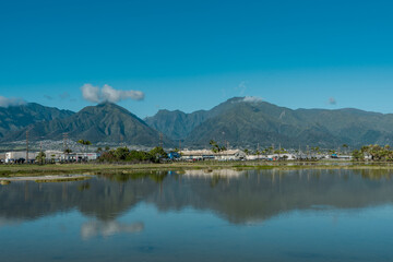 Wall Mural - Kanaha Pond State Wildlife Sanctuary. Kahului Maui Hawaii. The West Maui Mountains, West Maui Volcano, or Mauna Kahālāwai which means 