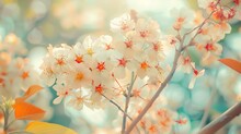 Beautiful Wild Himalayan CherryPrunus Cerasoides Flower Sakura Thailand Blossoms On Khunwang Chiang MaiThailand : Generative AI