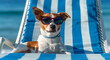 A funny dog in  sunglasses is relaxing on a chaise longue on the seashore. Summer vacation at sea