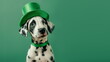 Funny dalmatian puppy in a green leprechaun hat and collar. Dog on plain green studio background with copy space for text. St Patrick Day themed animal photo for festive horizontal banner