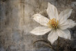 white flower on wooden background