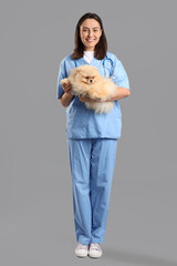 Sticker - Female veterinarian with cute Pomeranian dog on grey background