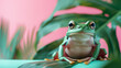 Green frog on the pastel background 29 february leap Generative Ai