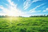 Fototapeta Uliczki - tranquil scene of a lush green field under a clear blue sky, bathed in the warm glow of the sun