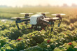 A drone that flies over a strawberry plantation and sprays chemicals.