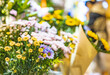 Flower shop, lifestyle, selling flowers, buying flowers, small roses, sunflowers, colorful, fragrance, French life, petty bourgeoisie life,