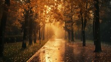 The Sun Shines Through The Trees On A Rainy Day In A Park With Fallen Leaves On The Ground And A Wet Sidewalk In The Foreground.