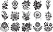 collection of mix different flowers, floristic shapes decorations