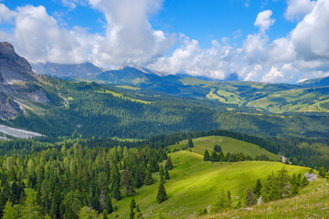 Wall Mural - beautiful view of forests and hills in the alps