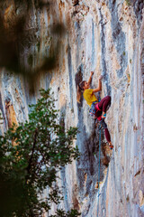 Wall Mural - A woman climbs a rock, a strong girl trains strength and endurance, extreme sport, rock climbing..