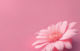 Fototapeta Kwiaty - Beautiful flower with toning. flower composition, Pink chrysanthemums on pink background floral background