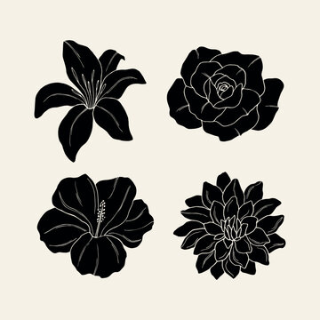 Set of flat vector lily, hibiscus, rose, dahlia