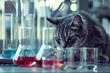 
cat in a biological or chemical laboratory.
