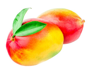 Wall Mural - Mango fruits isolated on the white background