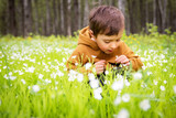 Fototapeta  - A small handsome boy sits in a clearing surrounded by delicate primroses in a sunny spring forest.