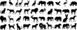 © Arafat - Wildlife silhouette, animal collection,  Includes elephant, deer, lion, cat, dog, bird, horse, bear, giraffe, camel, swan, rhino