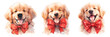 Set of watercolor portraits of 3 faces a Golden Retriever dog isolated on white.