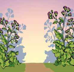 Poster - Big blooming burdock. Vector drawing