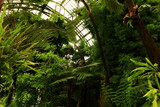 Fototapeta Sawanna - The large greenhouses of the Jardin des plantes form a group of five greenhouses built between 1836 and 2010 in the Jardin des plantes, in Paris.