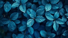 Blue Plant Leaves Contrast With A Blue Background, Creating A Harmonious And Serene Composition. Nature Background Of Blue Leaves In Peaceful And Refreshing Atmosphere.