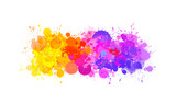 Fototapeta Koty - Multicolored splash watercolor blot - template for your designs.