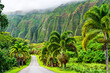 Ho'omaluhia Botanical Park views of Ko'olau mountains on Oahu - Hawaii, United States