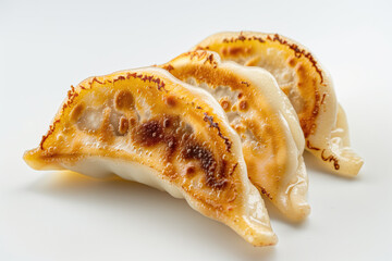 gyoza dumpling on white studio background