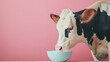 a cow drinking from a bowl