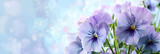 Frame with  blue pansies flowers on  pastel blur bokeh  background. Background for  banner, wedding greeting card, St Valentines, Women's, Mothers day. copy space