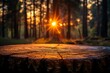 A warm sunset peeks through forest trees, shining on a tree stump, evoking thoughts of rebirth and time