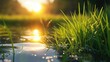 beautiful grass in water with sun reflecting off water, in the style of sketchfab, rural life depictions,  