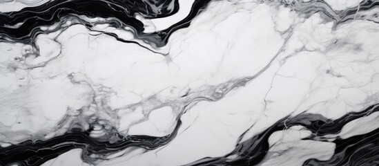 Wall Mural - A black and white marble pattern is prominently displayed against a black and white background. The intricate swirls and veins create a visually striking contrast.