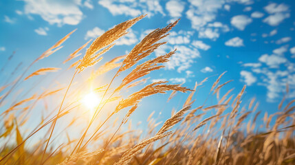 Wall Mural - ears of wheat