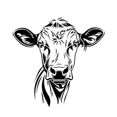 Wall Mural - Cow Vector