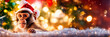 © yanadjan - monkey in a santa go monkey hat. Selective focus.
